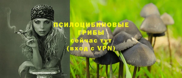 сатива Инсар