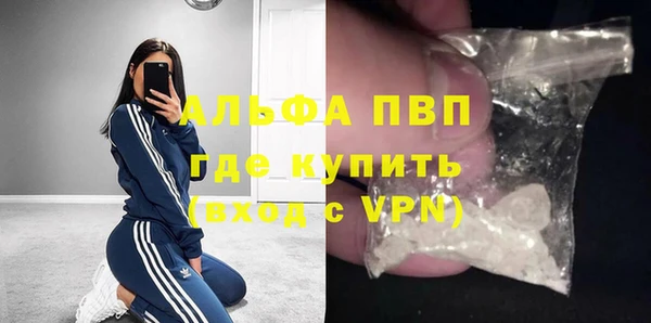 ешки Инта