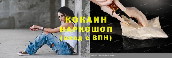ешки Инта