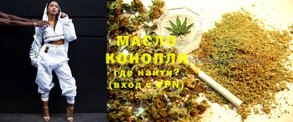 ешки Инта