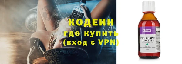 сатива Инсар