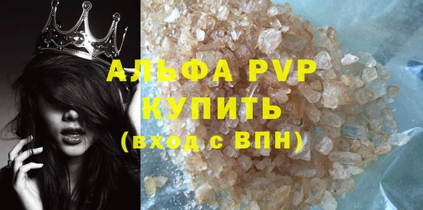 сатива Инсар