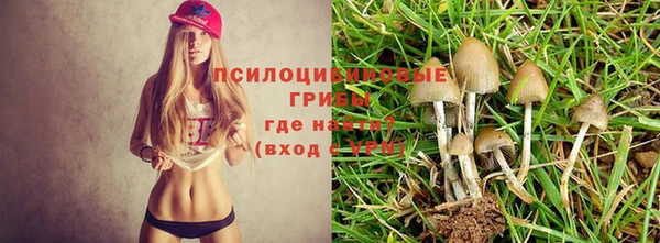 ешки Инта