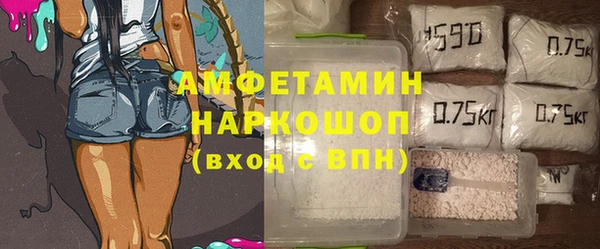 сатива Инсар
