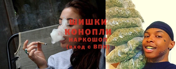 сатива Инсар