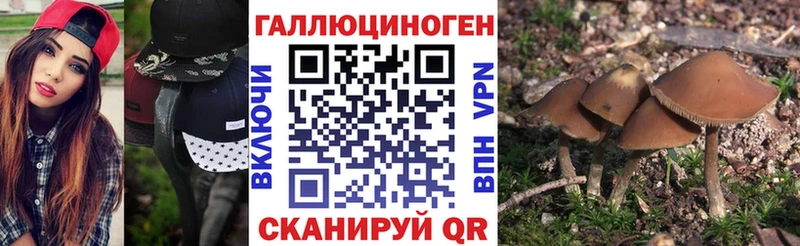 Галлюциногенные грибы MAGIC MUSHROOMS Свободный
